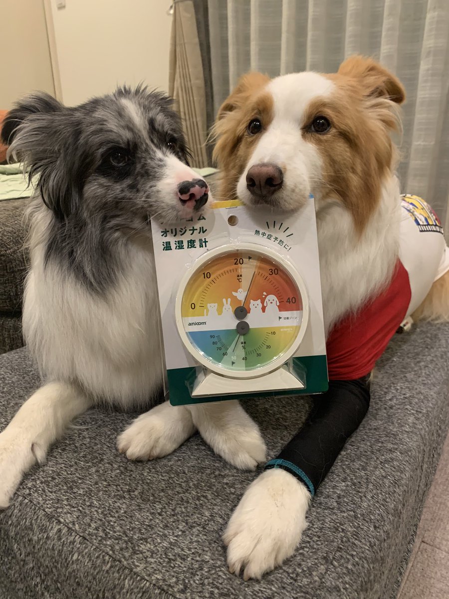 Kaoru むぎ わかば Kaoru Hkmkhwt N Twitter