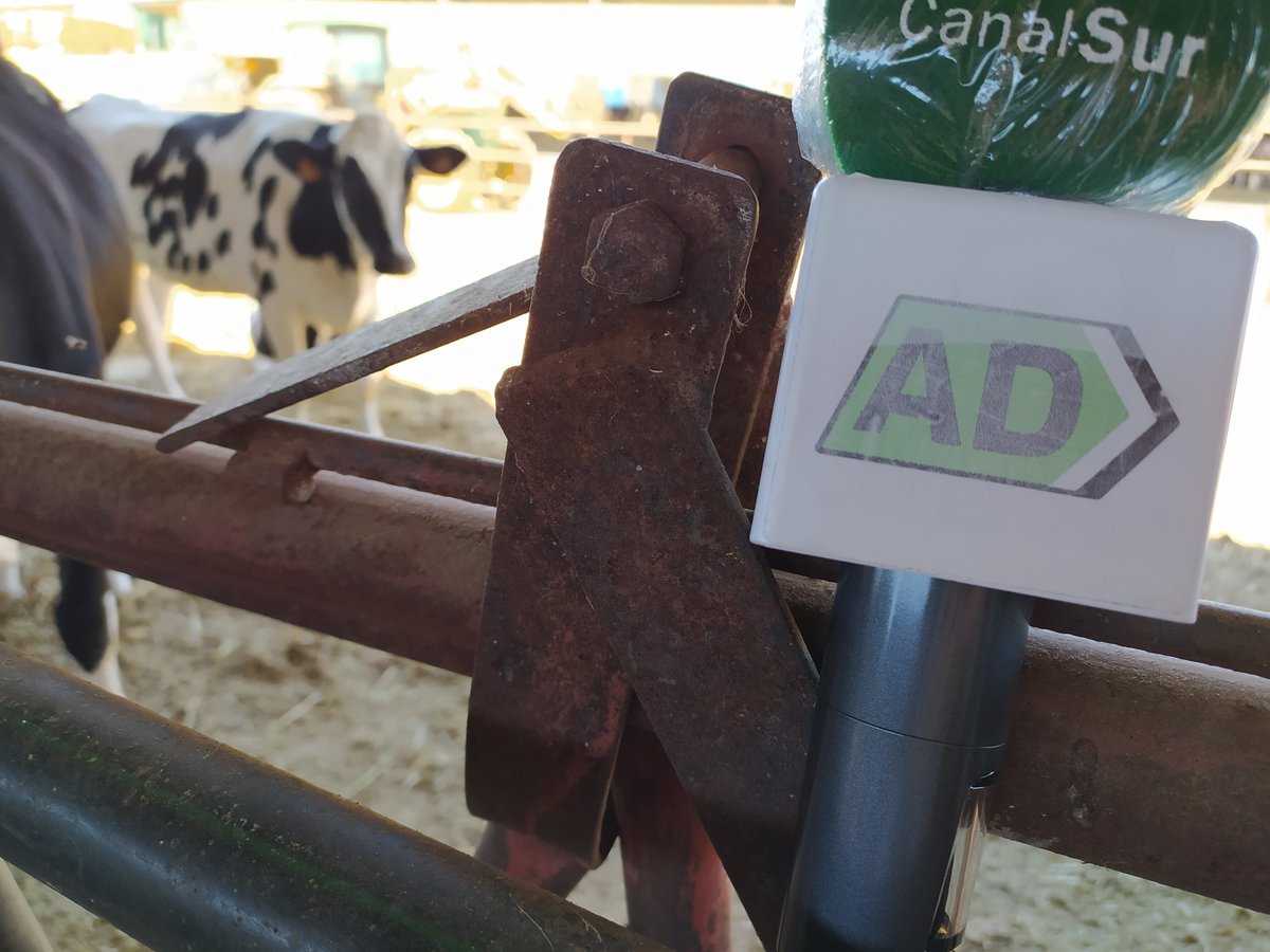 Yo sonrío, ellos....El día en <a href="/adirecto/">Andalucía Directo ❎</a> nos lleva a mis Pedroches #vaqueros #PrecioLeche #LoNuestro #LoMejor <a href="/CampoPedroches/">Campo Los Pedroches</a> <a href="/ElQuincenal/">El Quincenal de Los Pedroches</a> <a href="/ibesaPEDROCHES/">IBESA - LOS PEDROCHES</a> <a href="/Covap/">COVAP</a> <a href="/anoradirecto/">Ayuntamiento de Añora</a> <a href="/LidiaLopezL/">Lidia Lopez</a> <a href="/Casiopeacr/">Cristina Guil</a> <a href="/MJpmi/">Capitana Maria</a> <a href="/EMSL74/">Eva</a>