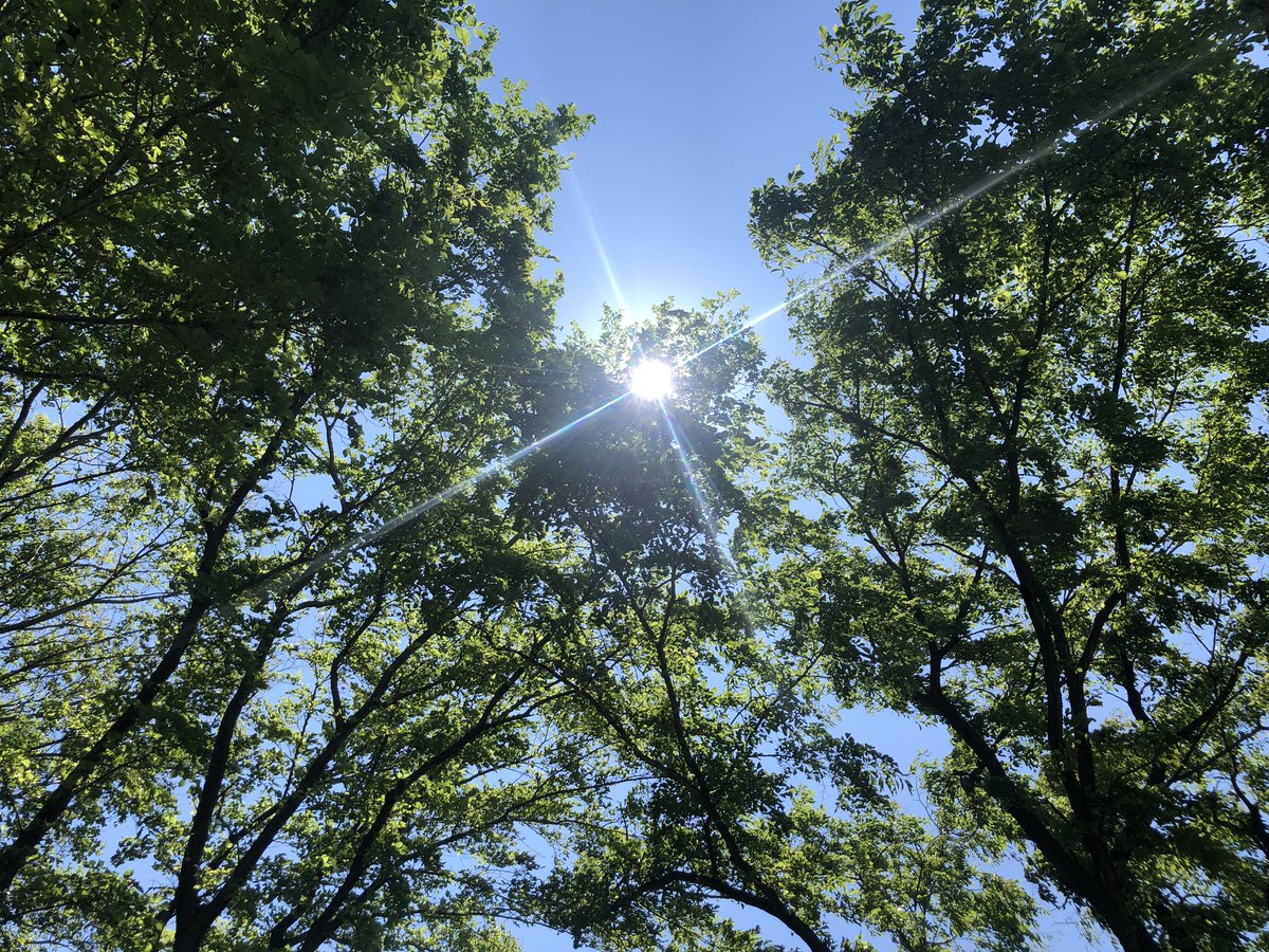 otonanojijounet's tweet photo. カメラ楽しい💕
今月はジンバル買うぞー‼️
おすすめは、、、？
＃gh5markii https://t.co/7UshlibmdU