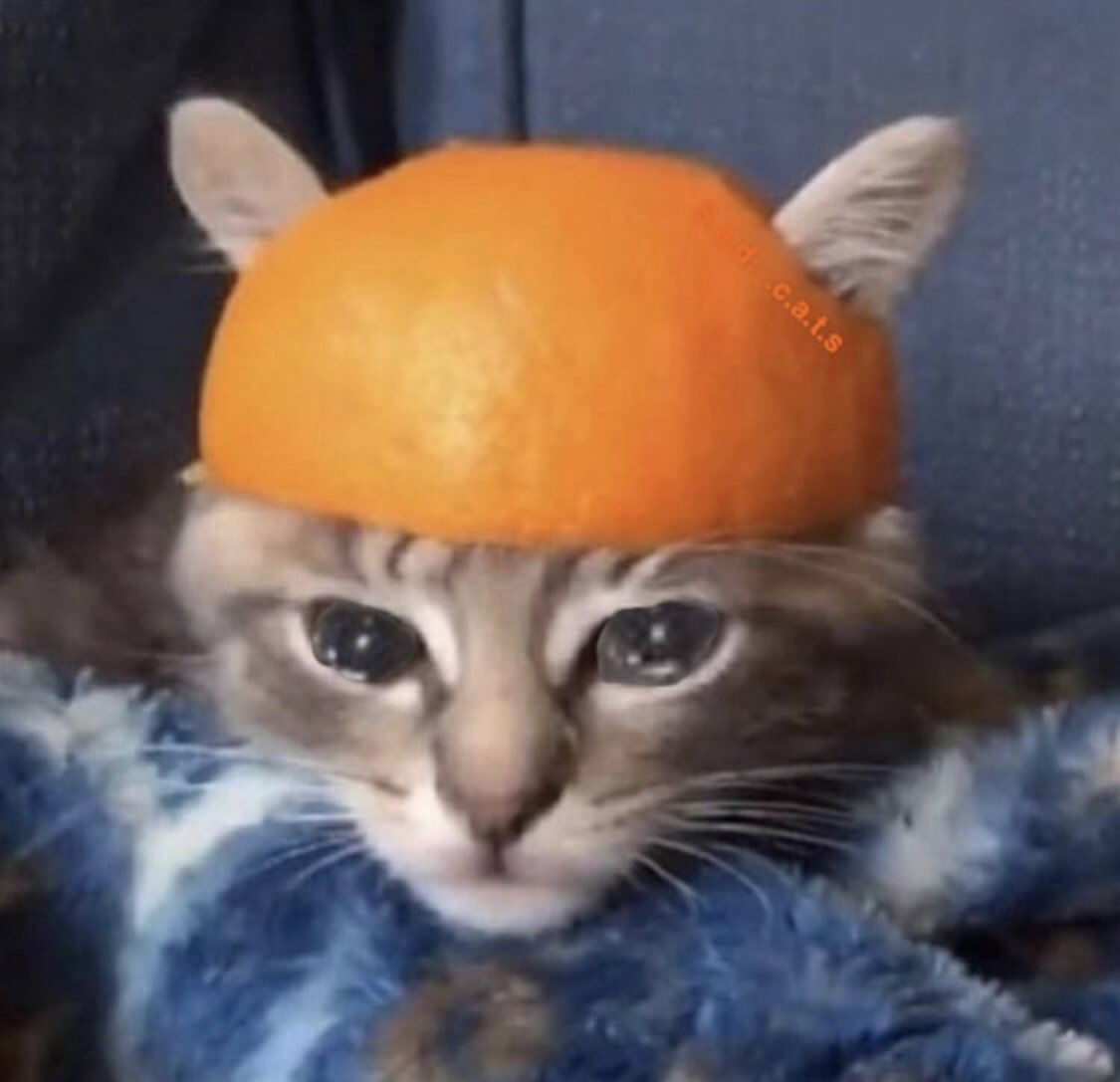 Moving this weeks stream to Friday as I’m feeling a bit under the weather today. Aiming to get a couple of guests on.