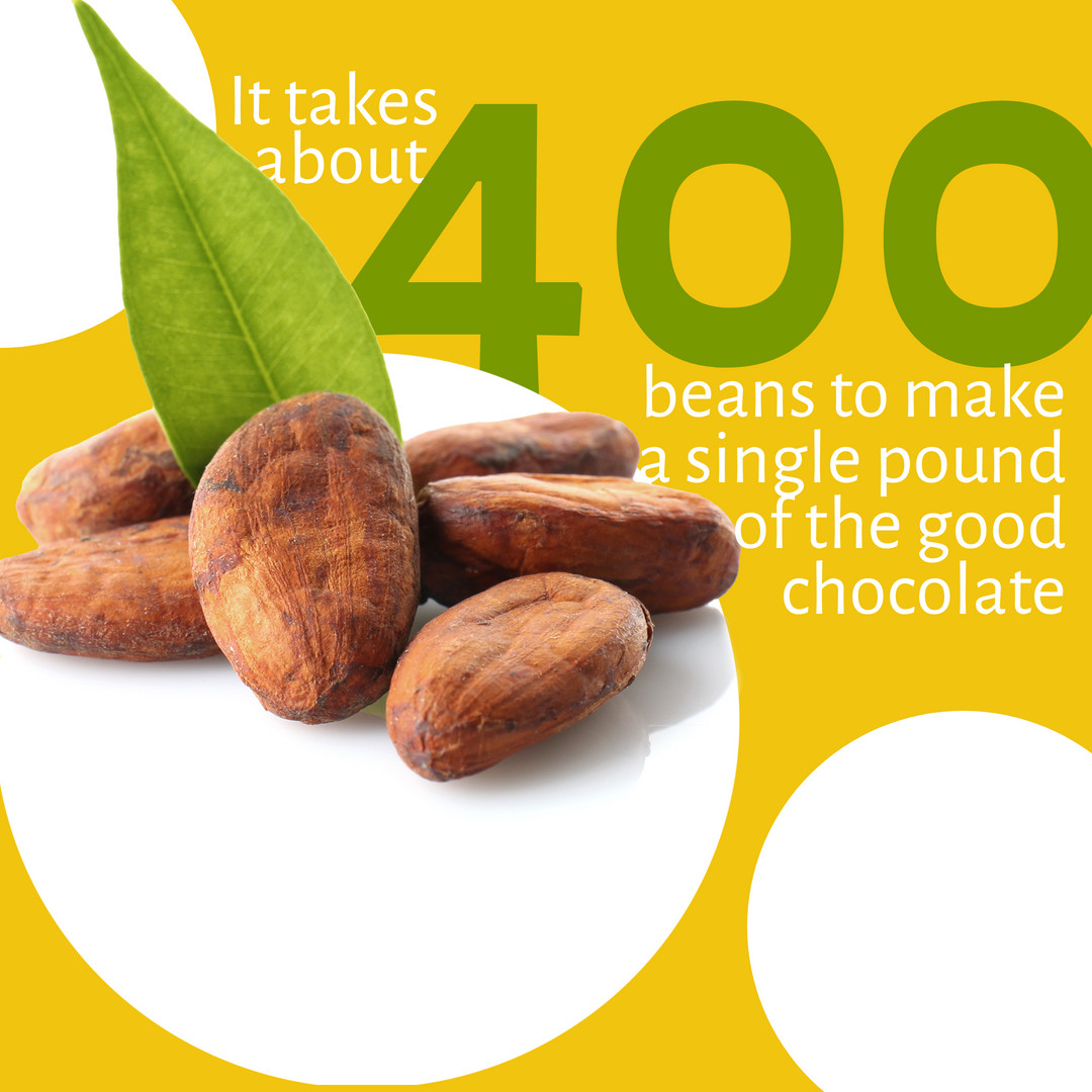 It's World Chocolate Day! What kind of chocolate are you eating today? 🍫