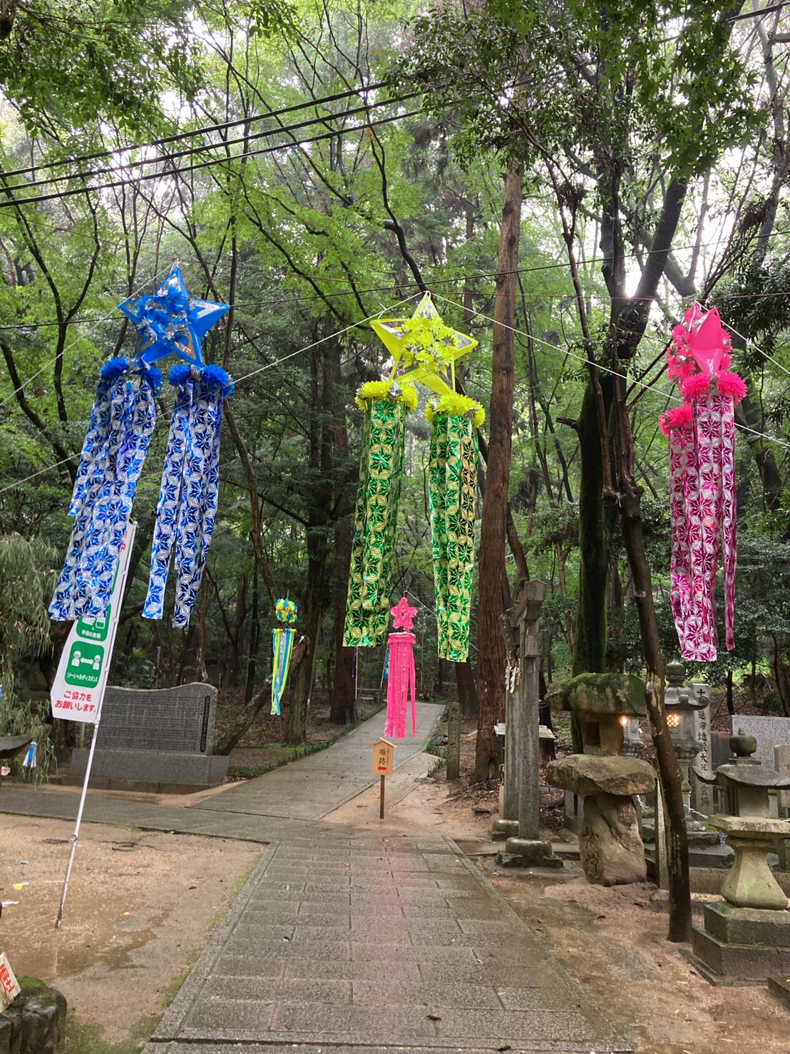 五木まり 7月7日 七夕 年々この風習も薄れて 星田妙見宮 はスピリチュアル なパワースポット北斗七星を神とする星 七夕伝説発祥の神社で天女が舞い降りた神社 と言われています 清々しい宇宙感です 五木まり 七夕 T Co V8m3salwwb