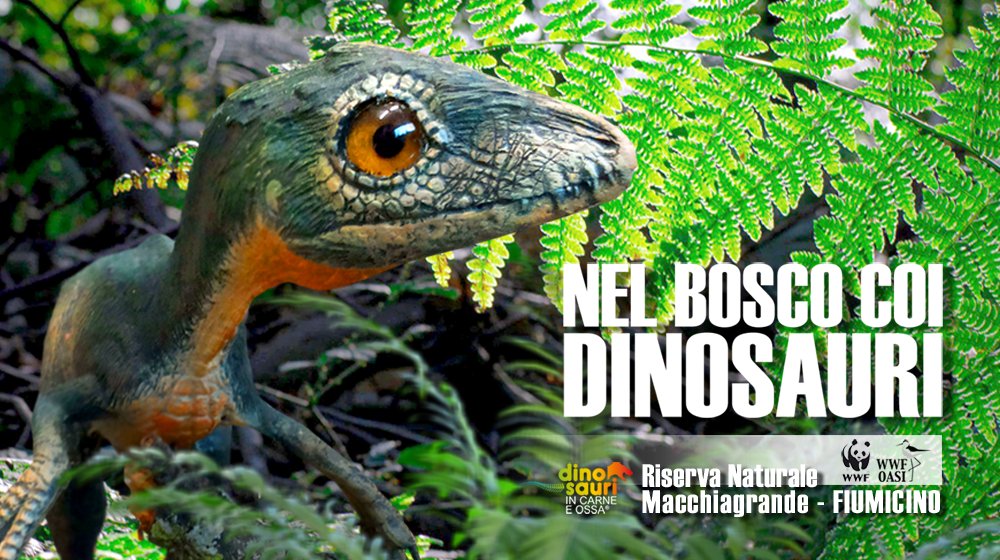 NATURA e DINOSAURI 💚🦖

Un esperienza suggestiva alla scoperta dei #Dinosauri e all'ombra della Riserva <a href="/OasiWWF_Macchia/">Oasi WWF Macchiagrande</a> grande #Fiumicino. Sabato, Domenica, festivi ore10-19 (chiusura biglietteria ore17)

Richiesta prenotazione a👉macchiagrande@wwf.it
 dinosauricarneossa.it/fiumicino