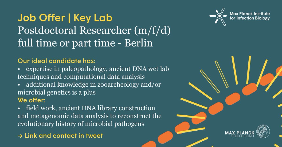 Felix Key tweet media