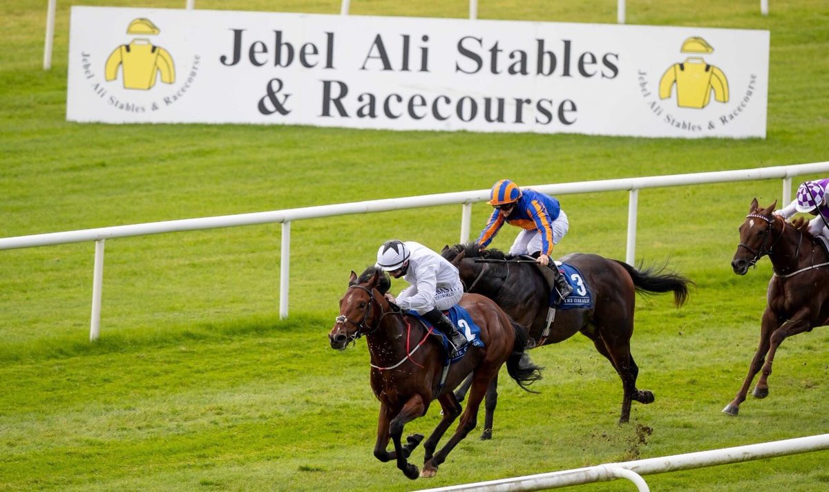 😍 A Cᴀsᴇ Oꜰ Yᴏᴜ 😍 First group winner on the flat for @McConnellRacing last year in the @JebelAliRC & Stables Anglesey Stakes. 👉This year 📆 Sat July 17th We love these shots👇💕