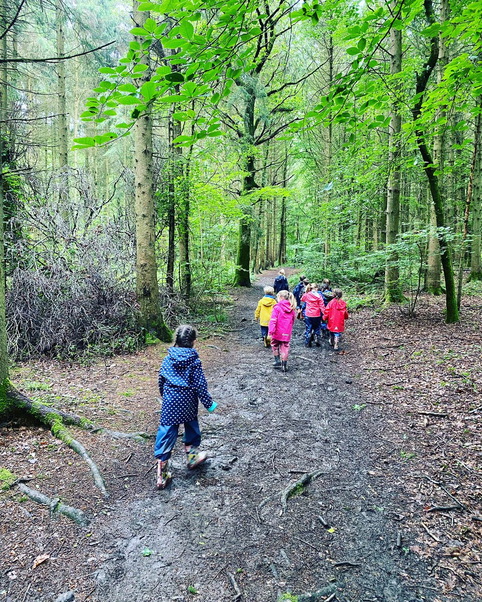 WSInfants's tweet image. What a beautiful woodland walk. We saw the local kite, several deer and survived the rain. #nature #resilience #happiness #calm #outdoorlearning @EcoSchools