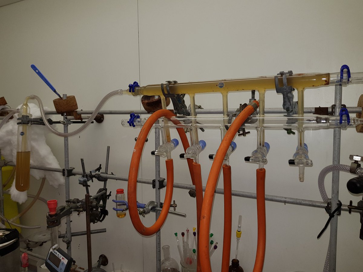 Hey Zach...what's all that liquid in your schlenk line...

Yeah it's pump oil. 

This is punishment from the universe for doing good chemistry yesterday. 

#schlenkline #chemtwitter #RealTimeChem