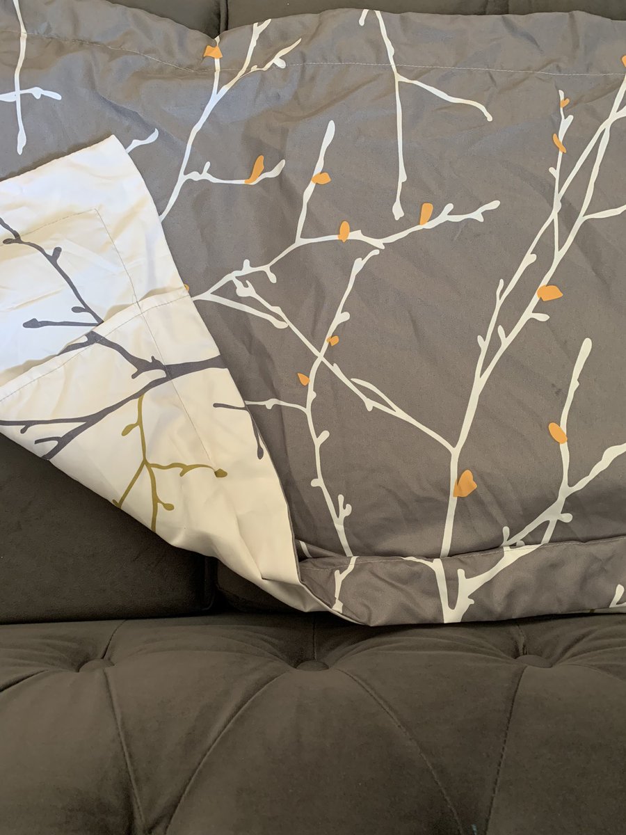 George Painter tweet media