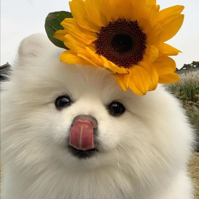 S N A P S (@snapsgallery) on Twitter photo 