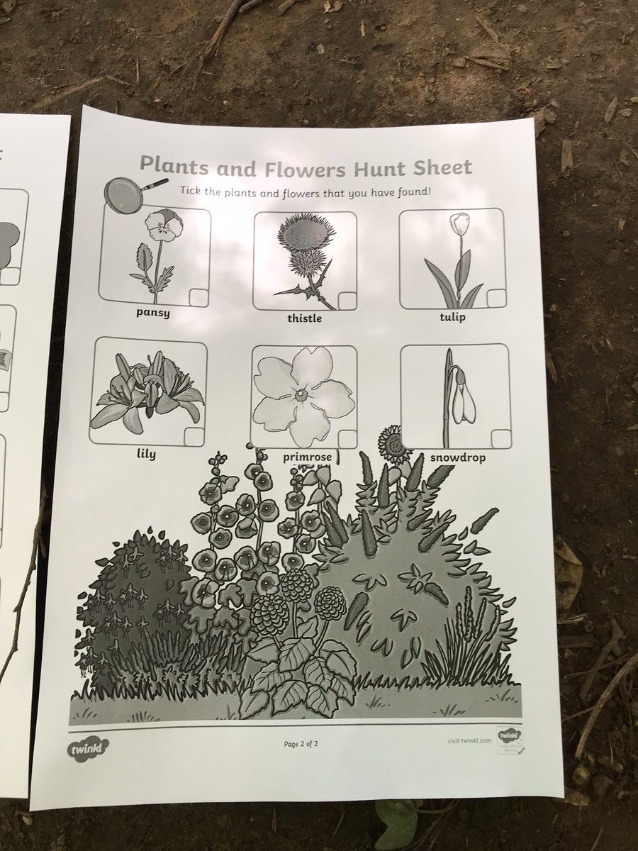 Mrs Lamb tweet media