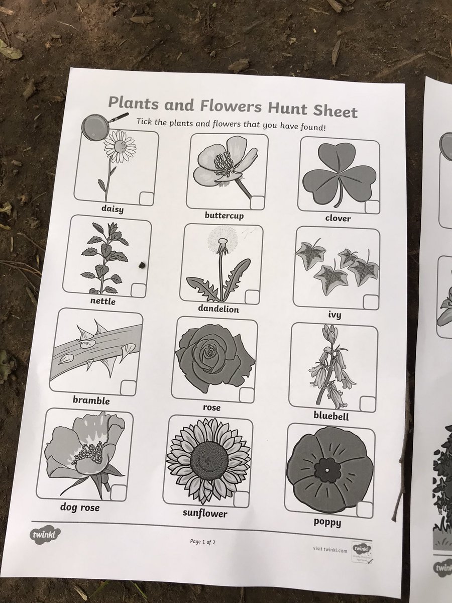 Mrs Lamb tweet media