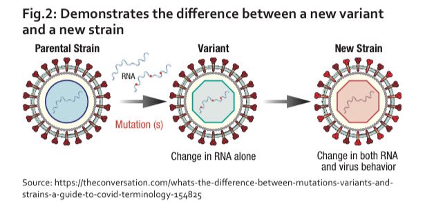 sandralopezleon's tweet photo. 🦠 #COVID 
➡️VARIANTE: Cambios en el RNA
➡️CEPA: Cambios en el RNA q cambian el comportamiento del virus.

Si la variante #delta es más contagiosa y cambian un poco los síntomas. ¿Estaríamos hablando de una cepa nueva? https://t.co/kAwHSADXFg