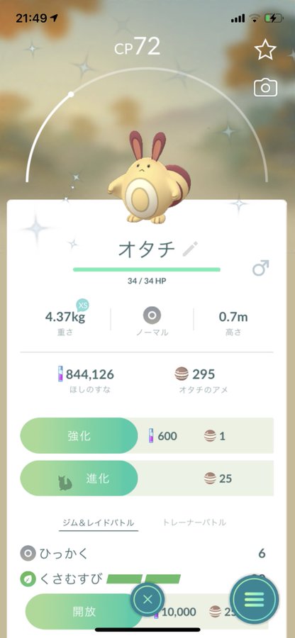 ポケモンgoプラスってどこで売ってる どこで買える ポケモンgoプラスの売ってる場所や買える場所はここ どこでカエル
