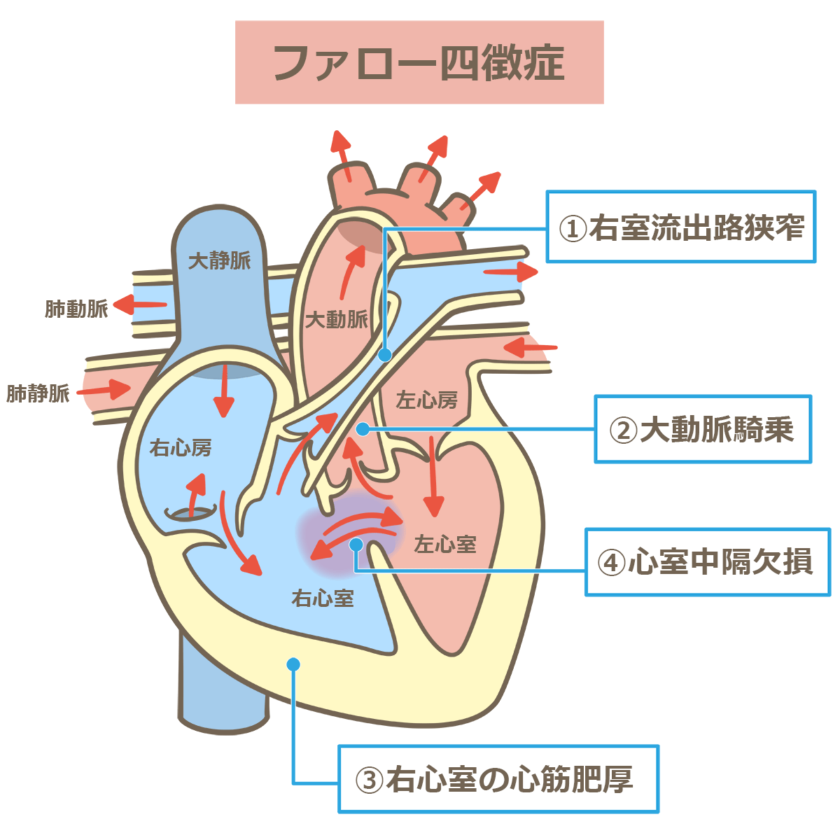 Naoto Chopper50beri Twitter