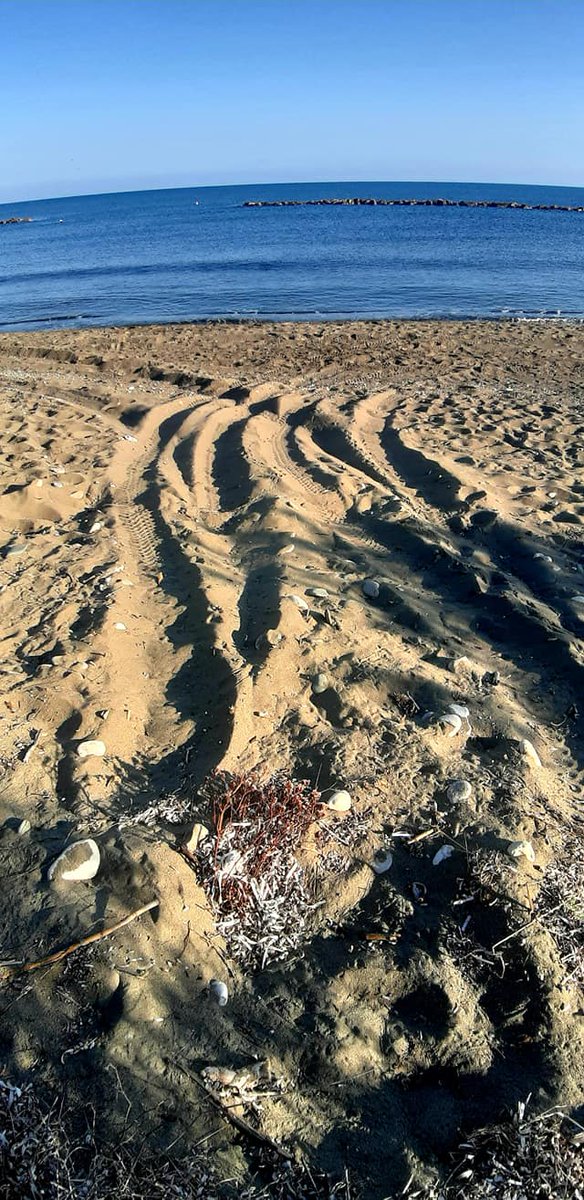 ProedRoz's tweet photo. NATURA2000 &amp; Παραλίες Πόλης Χρυσοχούς

Έχει περιέλθει στην αντίληψη μου τον τελευταίο καιρό πως οι παραβιάσεις εντός των ζωνών προστασίας των ακτών στην περιοχή της Πόλης εώς και την Γυαλιά είναι πλέον είναι ανεξέλεγκτες. 

👇👇👇 https://t.co/7c6XTy2xqT