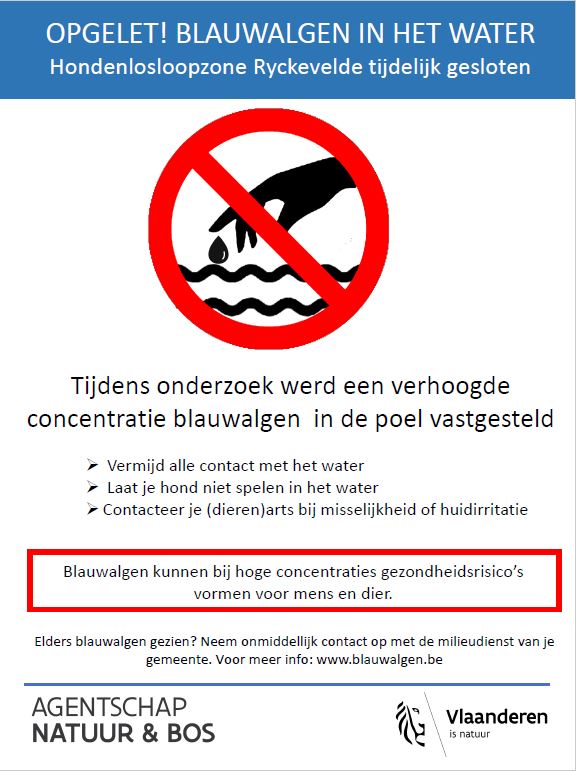 De hondenspeelweide aan het Ryckeveldebos in St-Kruis is opnieuw gesloten. In de poel van de hondenlosloopzone werden hoge concentraties blauwalgen vastgesteld, wat gevaarlijk is voor mens en dier. #altijdwaakzaam