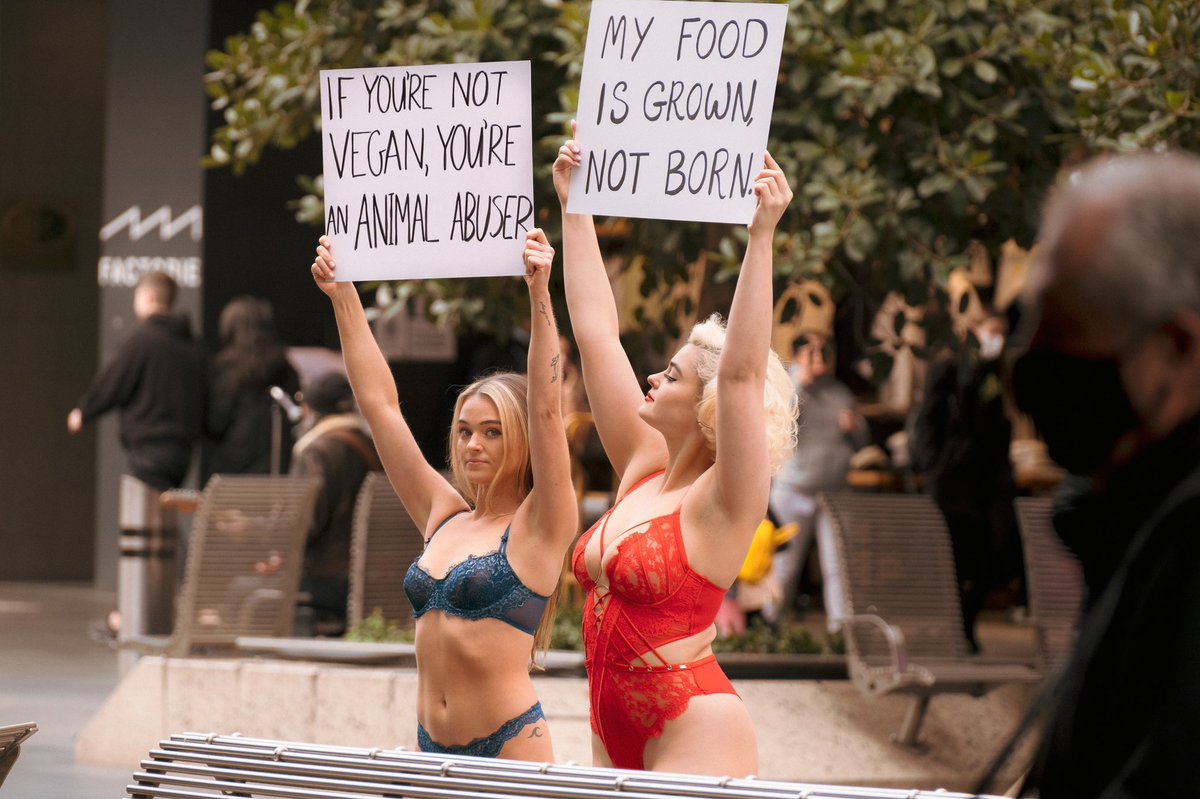 stefania_model's tweet photo. With @vganbooty in #Melbourne city today 💗 https://t.co/w97wpDVdfW https://t.co/N535AkRk1B