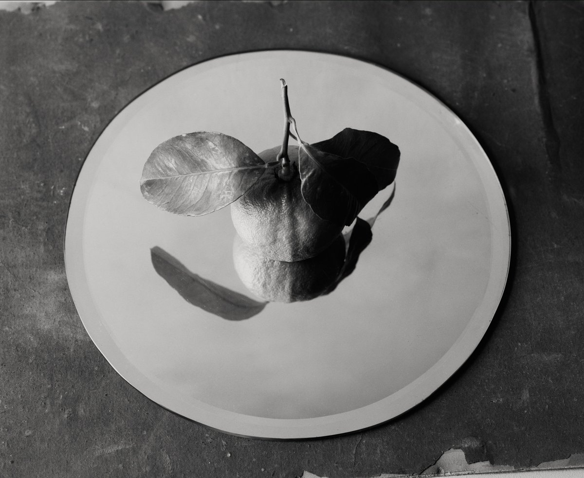 “Away from the theatre, a low mist clung to the two long ponds which reached back towards the main house. Hours earlier these waters had reflected the busy white and blue of passing clouds, but were now shrouded in diffuse grey"

readcereal.com/equal-measure

From Cereal Volume 21