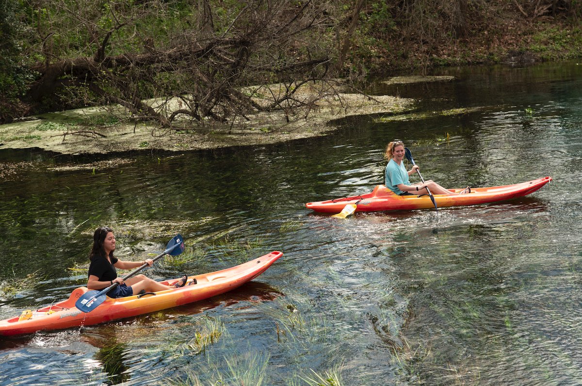 txst's tweet photo. We couldn't be more excited to get back to Sewell Park. Back to rec sports & our gorgeous #TXST campuses. And of course...back to good times together.
We know you're feeling the same. #BobcatsBack #SummerCountdown https://t.co/T0H0uh8xNb