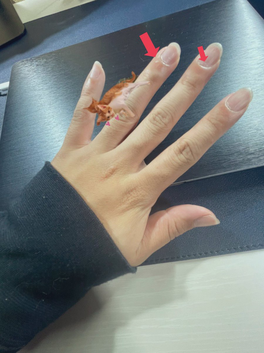 Avainsana ハンドクリーム Twitterissa