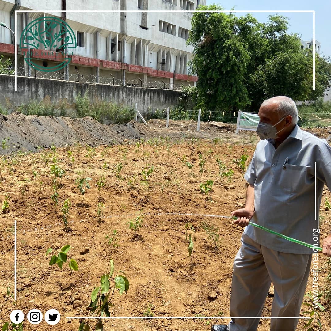 treeforeach's tweet photo. NHPC Dlf Plantation of 300 trees🌳

Plant Trees, Plant Hope☺️
.
.
.
#treeplanting #treeforeach #treeoflife #treeforeachfoundation #plantsmakepeoplehappy #vanmahotsav #2021 #greenday #greenery #plantnow #plantations #plantationdrive #saplings #sowseed #environment https://t.co/TOkDvEr1rE