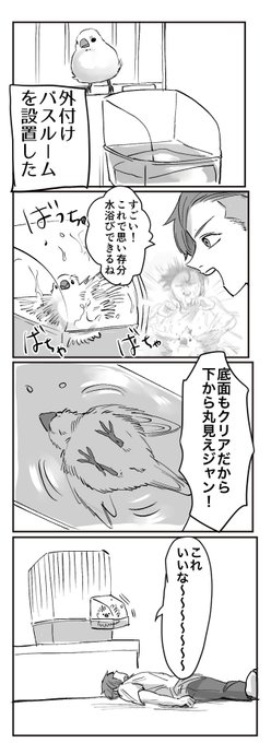 文鳥初心者漫画
#文鳥
#日常漫画 