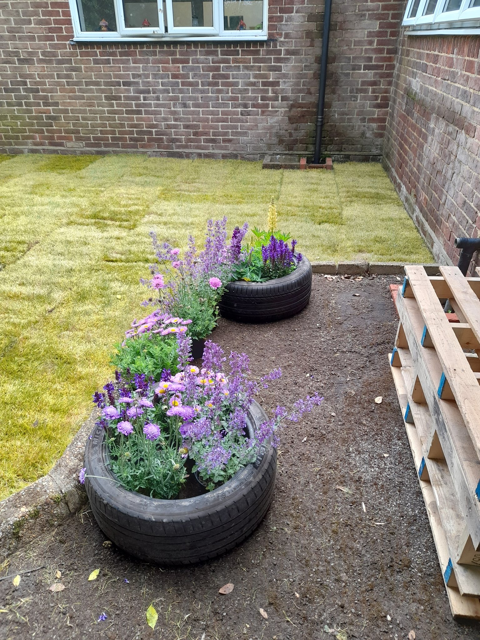 garden plants