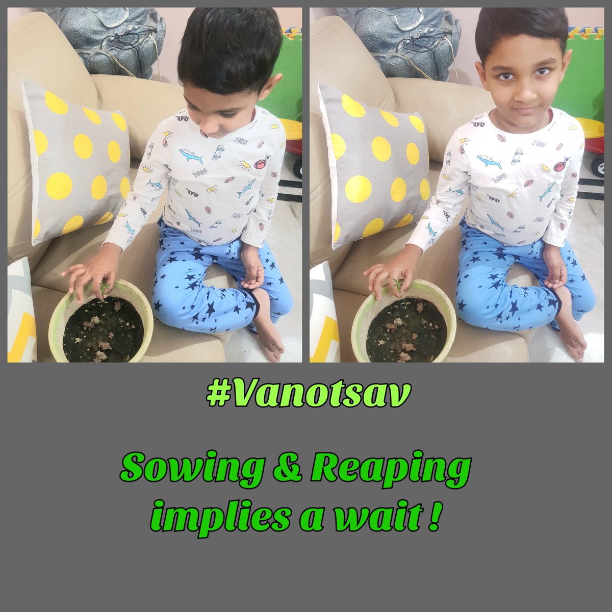 Little Sunshine (@kabirkakkar10) on Twitter photo Save Trees 🌳Save Lifes 🌍
#vanotsav
<a href="/ashokkp/">Ashok Pandey</a> <a href="/y_sanjay/">Sanjay Yadav</a> <a href="/ShandilyaPooja/">Pooja Shandilya</a>
<a href="/priyanka_vc/">Priyanka V.Chaudhary</a> <a href="/anupmauppal7/">Anupma Uppal</a>
<a href="/AhlconIntl/">AhlconIntl</a> <a href="/sdg4all/">AhlconIntl4SDGs</a> <a href="/SDGaction/">UN SDG Action Campaign</a> <a href="/challengeSDG/">SDG CHALLENGE</a>
Plant more Trees 🎍🍀 Save Trees 🌳Save Lifes 🌍
#vanotsav
<a href="/ashokkp/">Ashok Pandey</a> <a href="/y_sanjay/">Sanjay Yadav</a> <a href="/ShandilyaPooja/">Pooja Shandilya</a>
<a href="/priyanka_vc/">Priyanka V.Chaudhary</a> <a href="/anupmauppal7/">Anupma Uppal</a>
<a href="/AhlconIntl/">AhlconIntl</a> <a href="/sdg4all/">AhlconIntl4SDGs</a> <a href="/SDGaction/">UN SDG Action Campaign</a> <a href="/challengeSDG/">SDG CHALLENGE</a>
Plant more Trees 🎍🍀