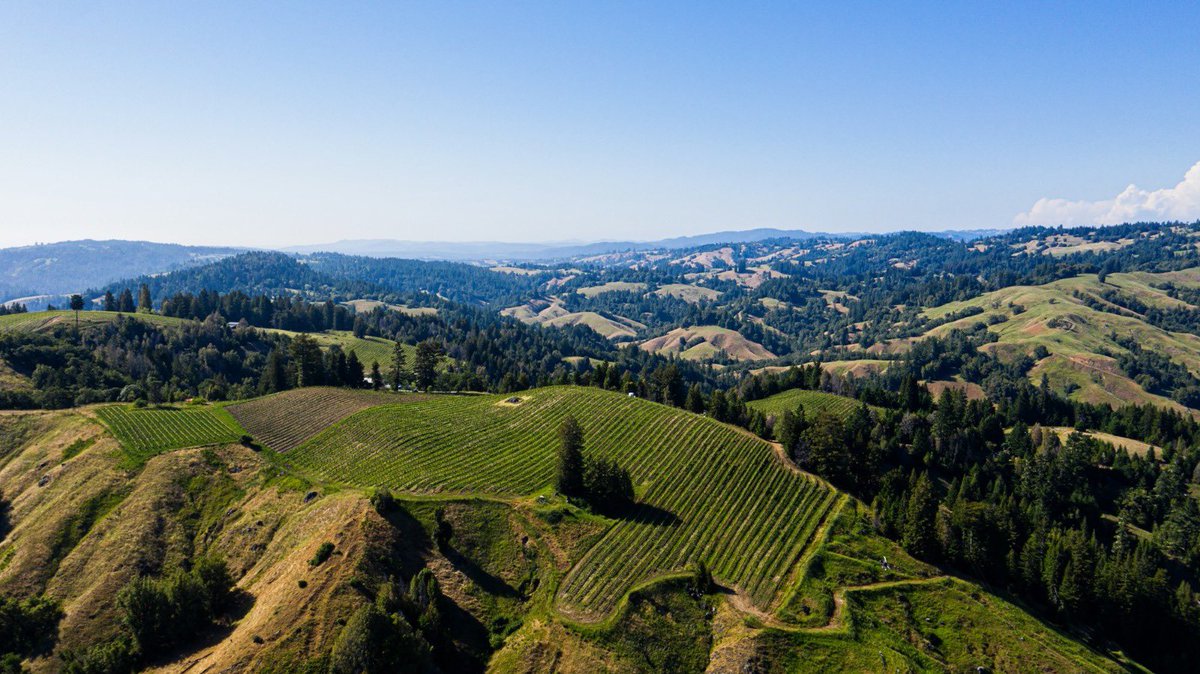 “Some very superior Californians”
- <a href="/JancisRobinson/">Jancis Robinson</a>

jancisrobinson.com/articles/some-…