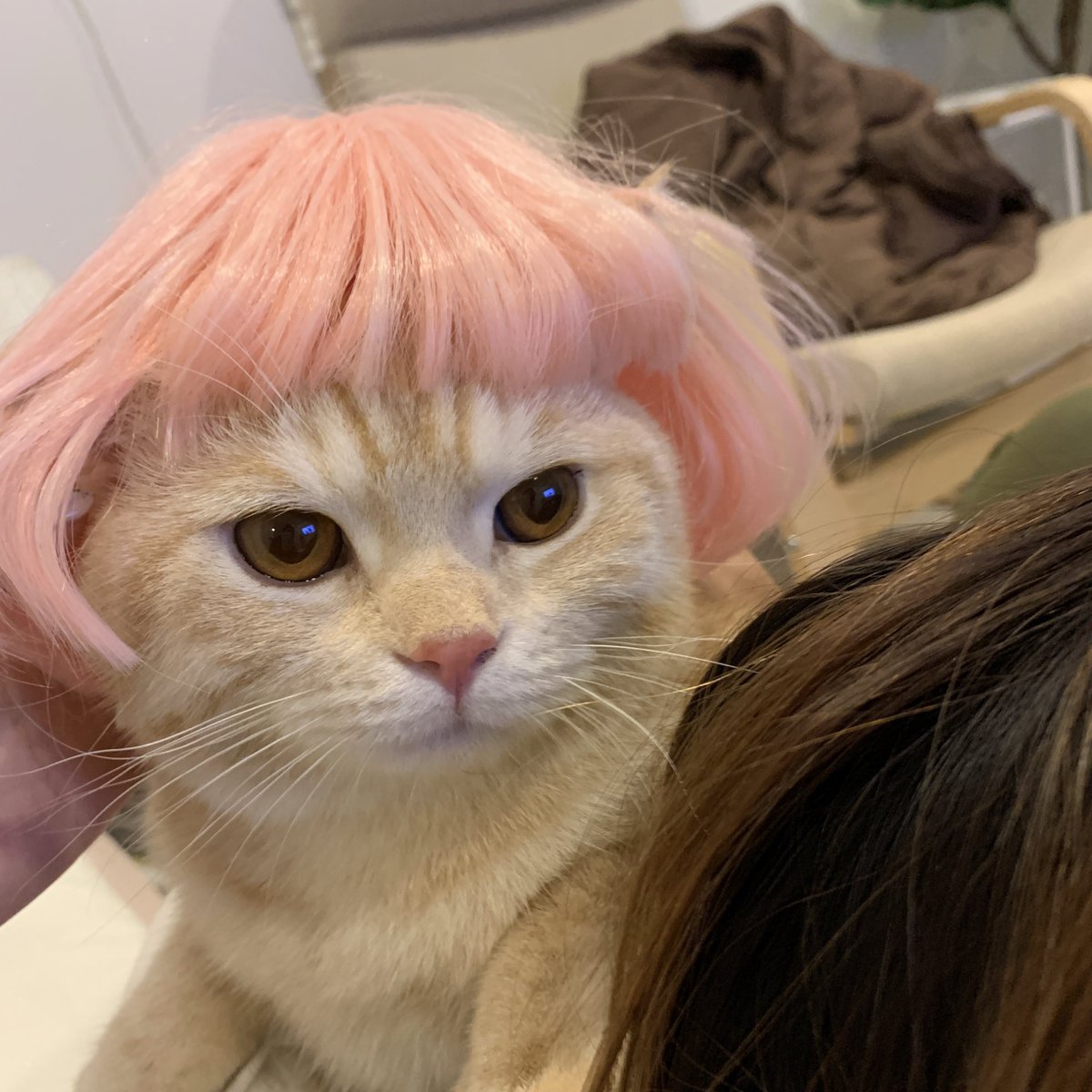 ย 𝒥 tweet media