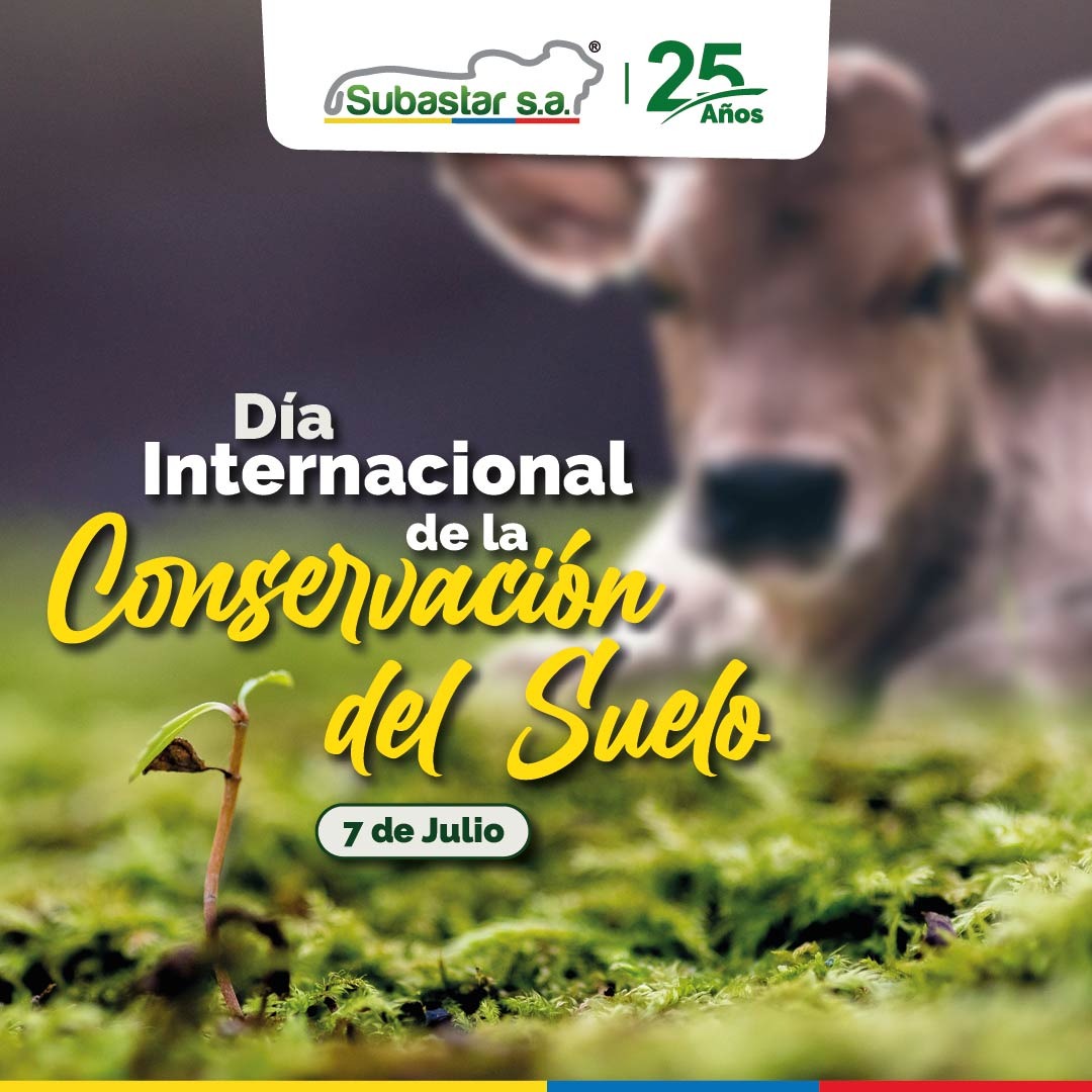 SubastarCo's tweet photo. 🌱🌱"El suelo productivo es el fundamento de la agricultura perdurable sin la cual no puede haber prosperidad ni progreso", Dr. Hugh Hammond Bennet.
Feliz #DíaInternacionalDeLaConservaciónDelSuelo
#SubastarSA #SubastarEsColombia https://t.co/mNJgP3Xq0x