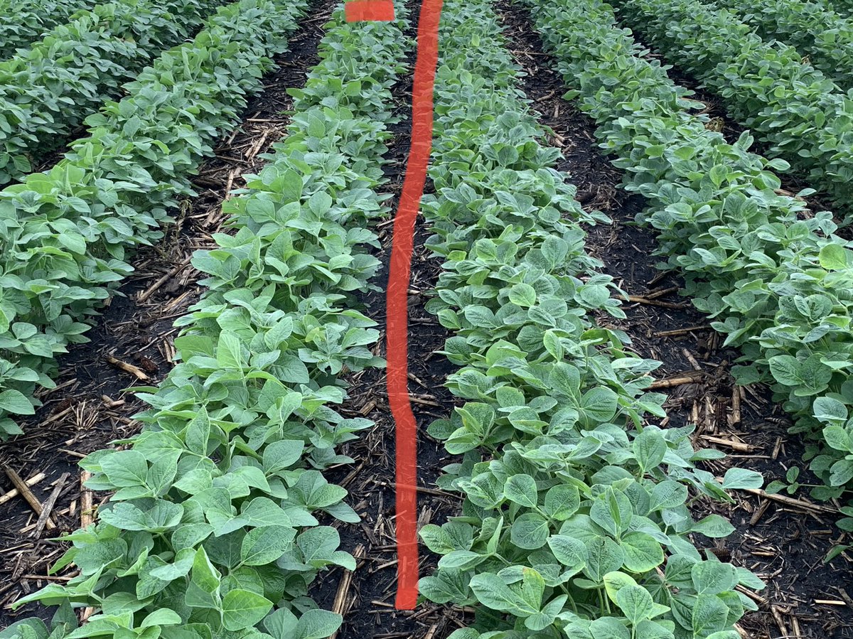 Gabe Fiscus tweet media