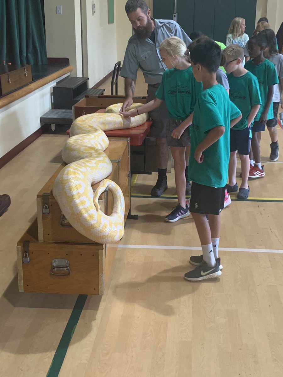 Summit School tweet media