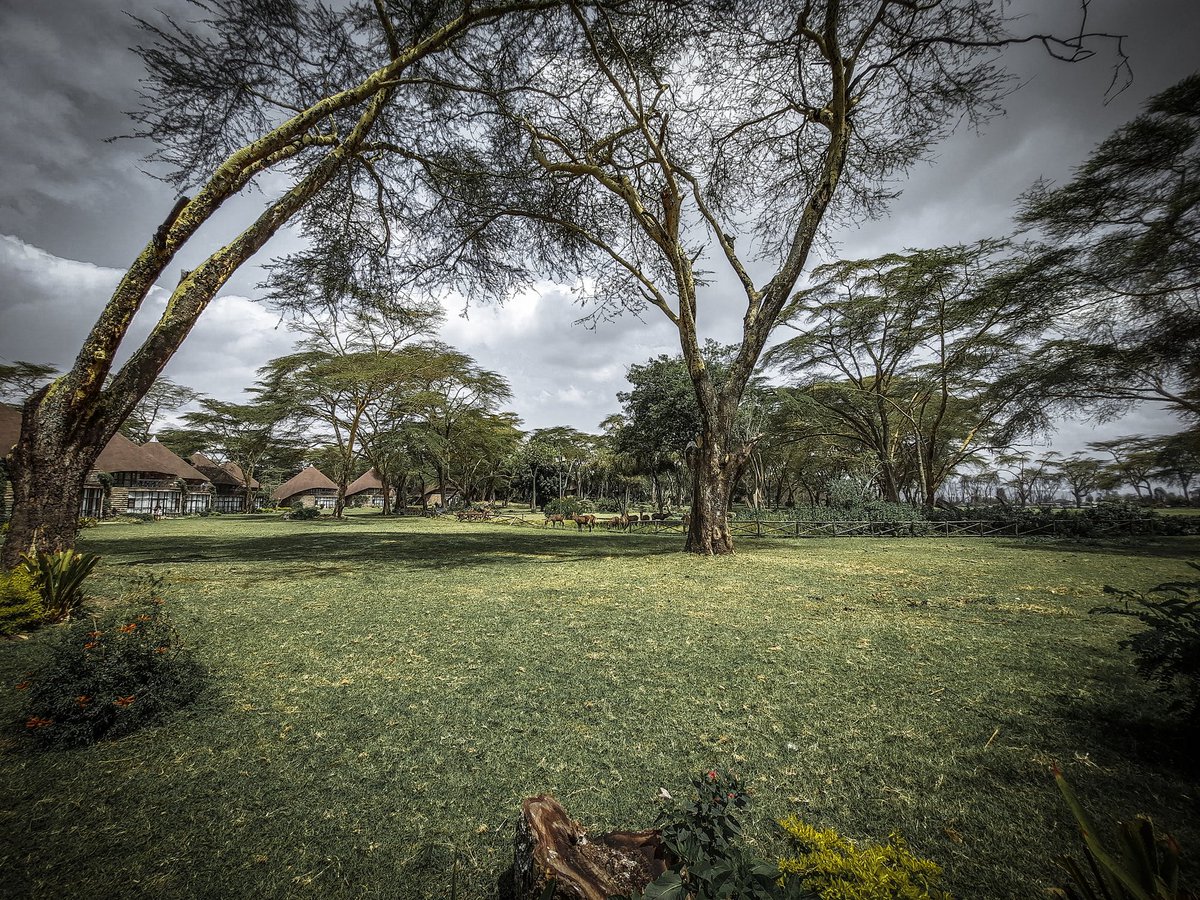 heymeeky's tweet photo. Two different moods one location different storyline.... @shaazmemo @TECNOMobile254 @TomaSparta @_DivergentKarl @janekatunge #CAMissionKE #CAMON17Pro #PhantomX #ReachForX #BeBoldBeXtraordinary https://t.co/juaJWVjpl3