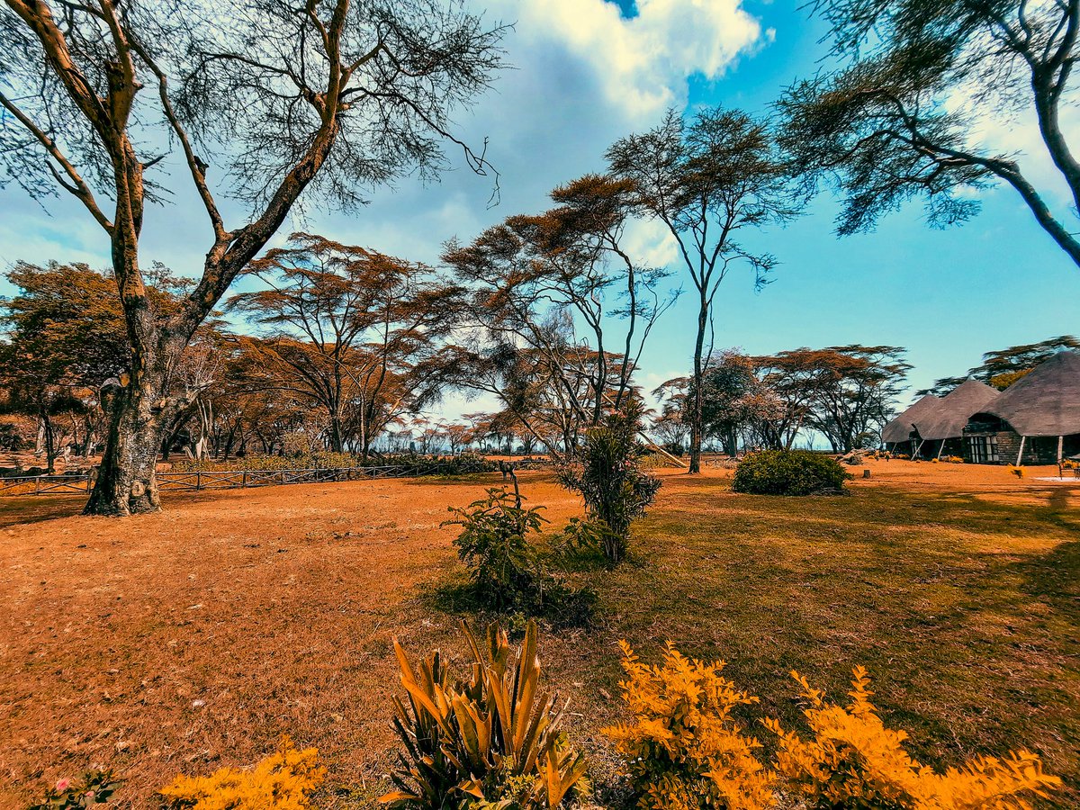 heymeeky's tweet photo. Two different moods one location different storyline.... @shaazmemo @TECNOMobile254 @TomaSparta @_DivergentKarl @janekatunge #CAMissionKE #CAMON17Pro #PhantomX #ReachForX #BeBoldBeXtraordinary https://t.co/juaJWVjpl3