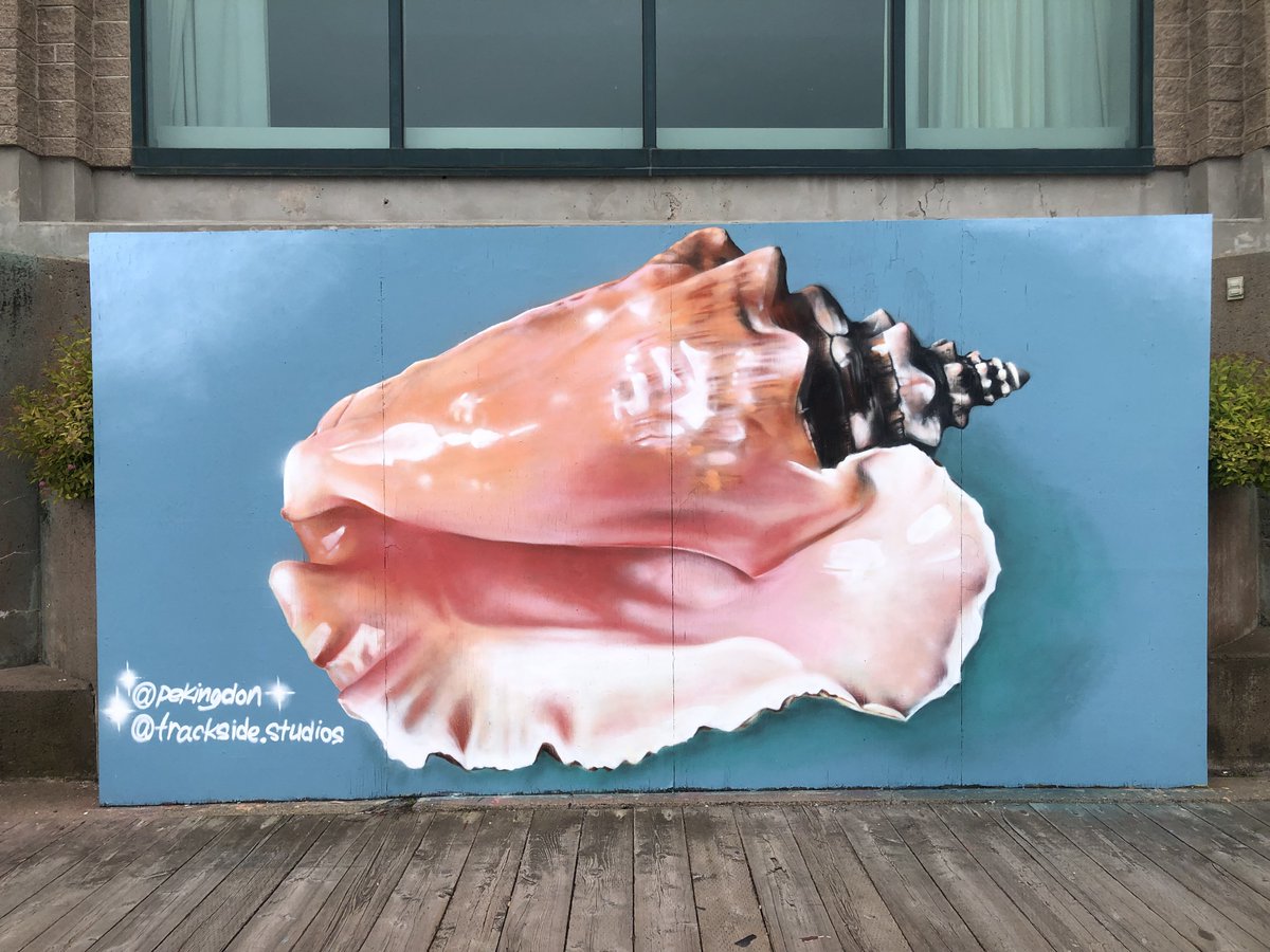 DowntownHalifax's tweet photo. There are new murals in #DowntownHalifax! Pod Racers by Daniel Burt, Ocean Sunset by Swade Owens, King Conch by Donny Fraser, and Puff, Puff by Mike Burt. They are a collection of ocean-themed pieces. Learn more by taking our Self-Guided Downtown Art, https://t.co/Jq4h4Cpi6p https://t.co/faG6Hm6UOa