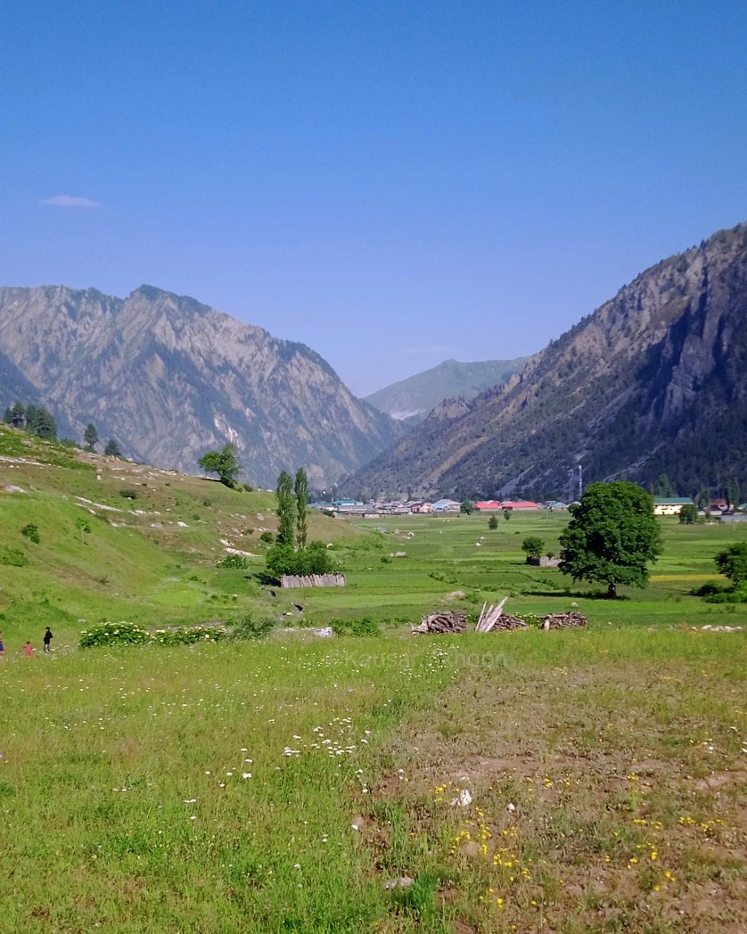 kausarakhoons's tweet photo. I'm from the countryside 🏞 ,believe me it's quite peaceful :)
*
PC 📷 : @kausarakhoons
*
*
*
#markoot #gurez #GoGurez #gurezvalley #kashmir #kashmirvalley #TwitterNatureCommunity
@AskSheikhAadil @JandKTourism @Go_Gurez https://t.co/IyWNMAuS3m