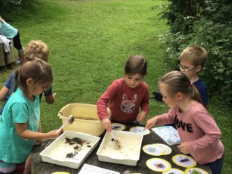 primary_manor's tweet photo. Oh the joy of learning in natural surroundings!! EYFS were so excited to be able to find real bugs and learn all about them in their natural habitat. #bughunting #outdoorcurriculum https://t.co/QvR8RRGw0t