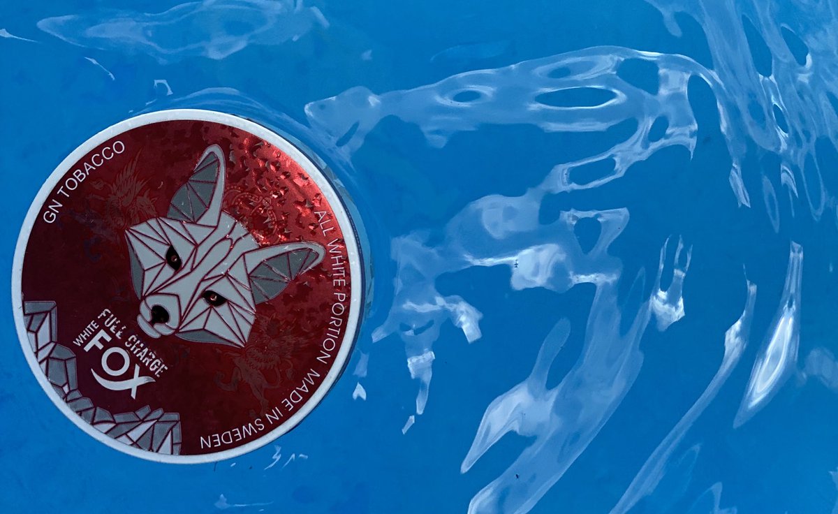 #poolday #relax #enjoylife #whitefox