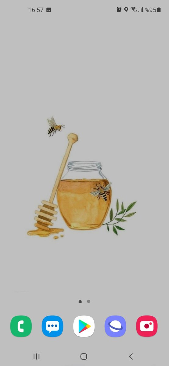 Kilit ve ana ekranımın güzelliğine bakın 🌺🐝😍