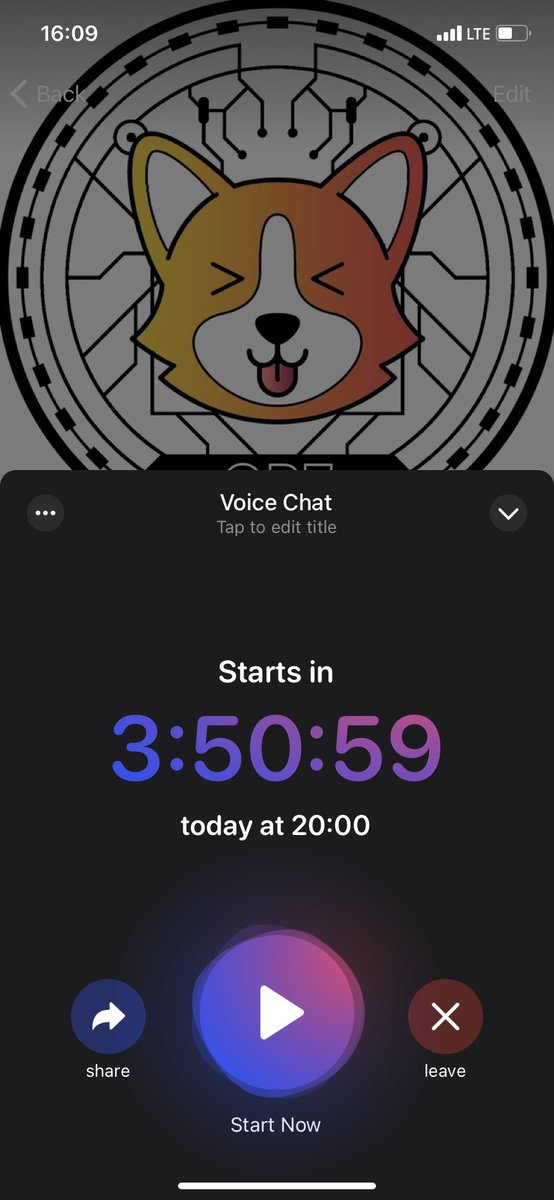 goodboitoken's tweet photo. Another one 👀👀 make sure to join and talk to us! if you are shy, don’t worry, type in chat and we will answer you! #GBT #cryptoforcharity #BEP20 #BSCGems https://t.co/xxf1oQVHqi
