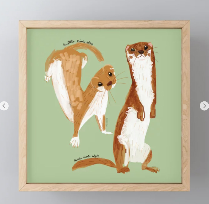 BeletteLePink's tweet photo. Prepare your #backschool at @society6
Save up to 20% OFF
#homedecor #artprints #wallart #poster
#giftideas
#animals by @BeletteLePink
#belettelepink #blankets #weasels #kidsroom #totebags #tech #totebags #gifts #sale #discount #society6 #mugs
https://t.co/u8BPNPpHy0 https://t.co/8SbOzTBybY