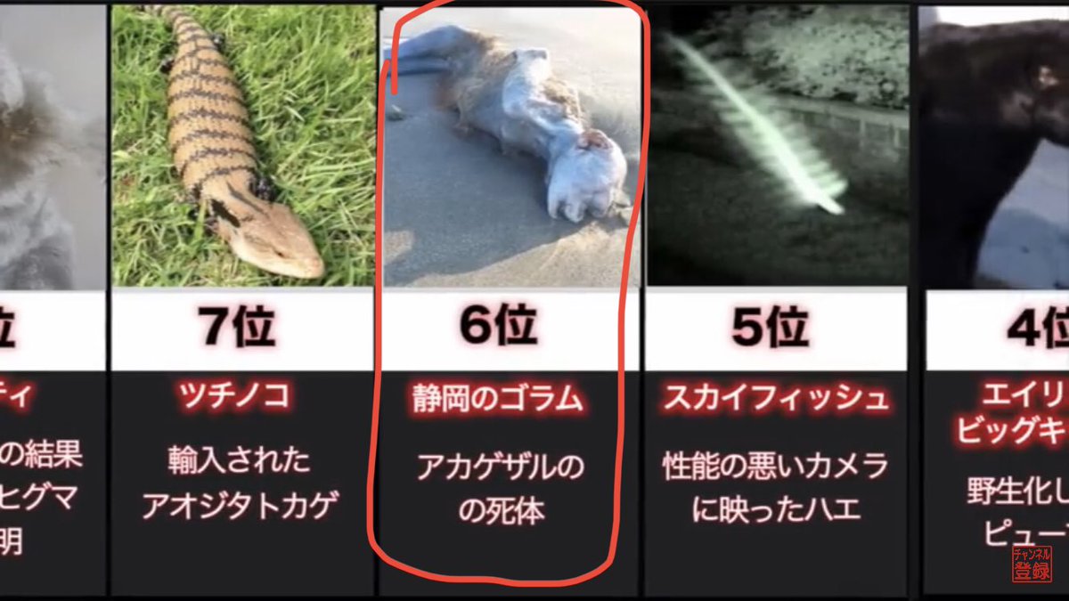Suu 六畳一間の狼 Ssr Tan Twitter Suu 六畳一間の狼 Ssr Tan Twitter