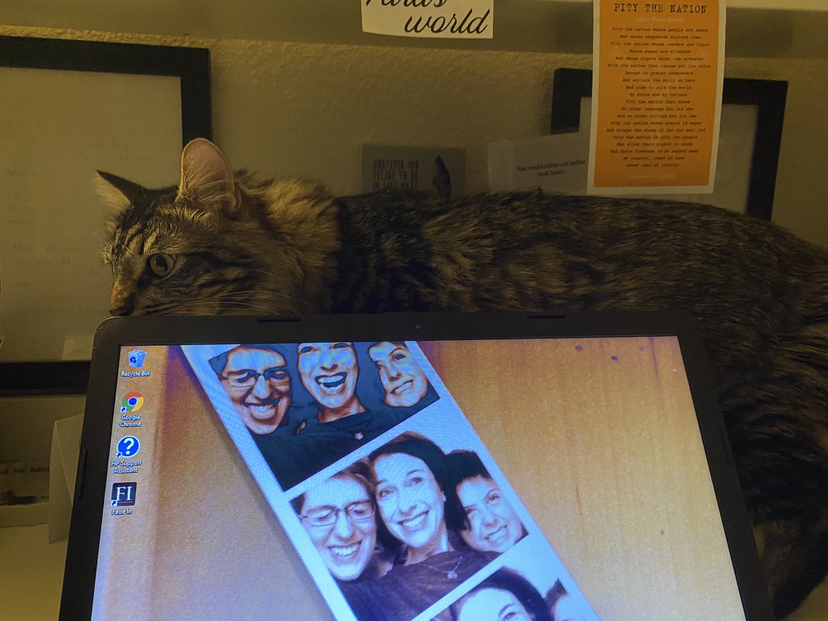 taradublinrocks's tweet photo. I just brought my laptop home after a week at the computer place in SE Portland (aka hipster central) &amp; #Maxine has suspiciously sniffed every inch of it (hints of kombucha &amp; patchouli with body odor?) while #Duke is like, “Yo…are we cool?” 😹😹#catsoftwitter #DukeAndMax https://t.co/XN7qWmU0mj