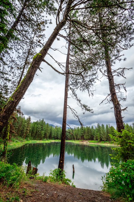 Lake me back the the woodz https://t.co/wtpVvBkoqB<a href="/tag/sunset"class="tags"><span>#sunset</span></a><a href="/tag/california"class="tags"><span>#california</span></a><a href="/tag/outdoors"class="tags"><span>#outdoors</span></a><a href="/tag/taco"class="tags"><span>#taco</span></a><a href="/tag/toyota"class="tags"><span>#toyota</span></a><a href="/tag/camping"class="tags"><span>#camping</span></a>
