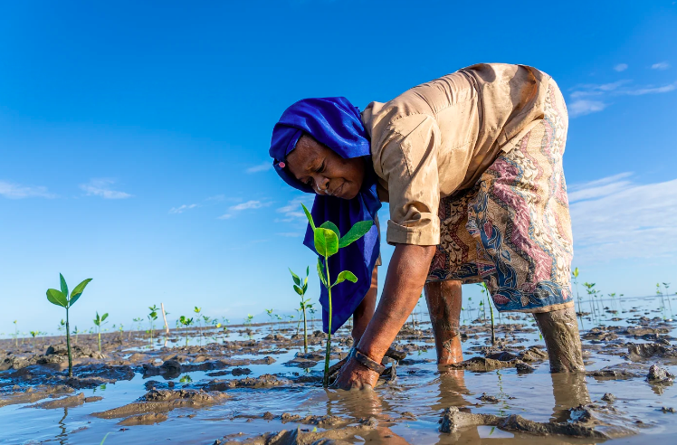 UNDP's tweet image. Nowhere on earth are the impacts of the climate crisis more present than across Asia-Pacific. See how we work with communities &amp;amp; partners to support integrated approaches for climate-resilient development to improve lives &amp;amp; protect the 🌏: bit.ly/3xv1xms

#ClimateWeekAP