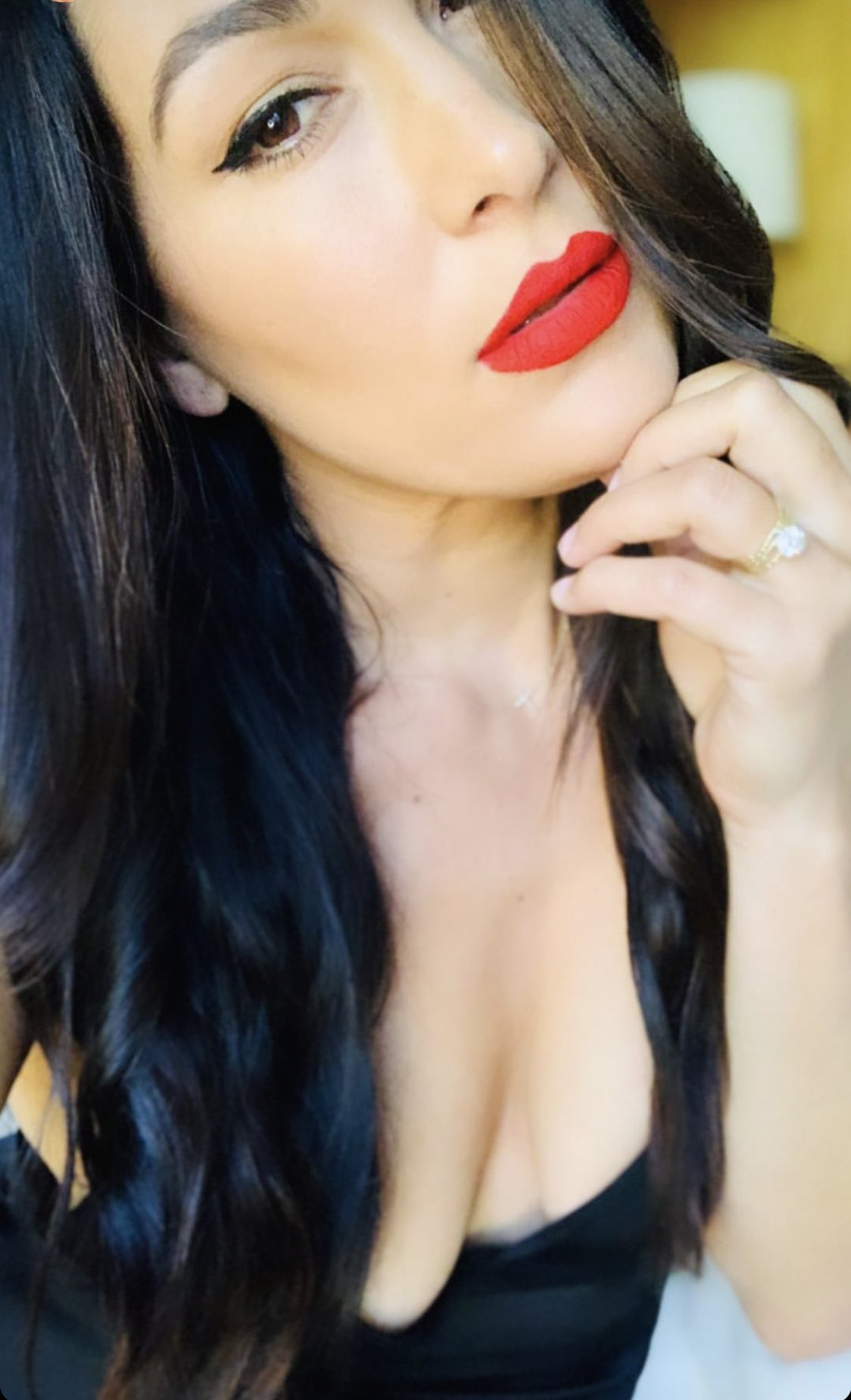 WWE Star Brie Bella Fires Back At Negativity Around Her Body 1