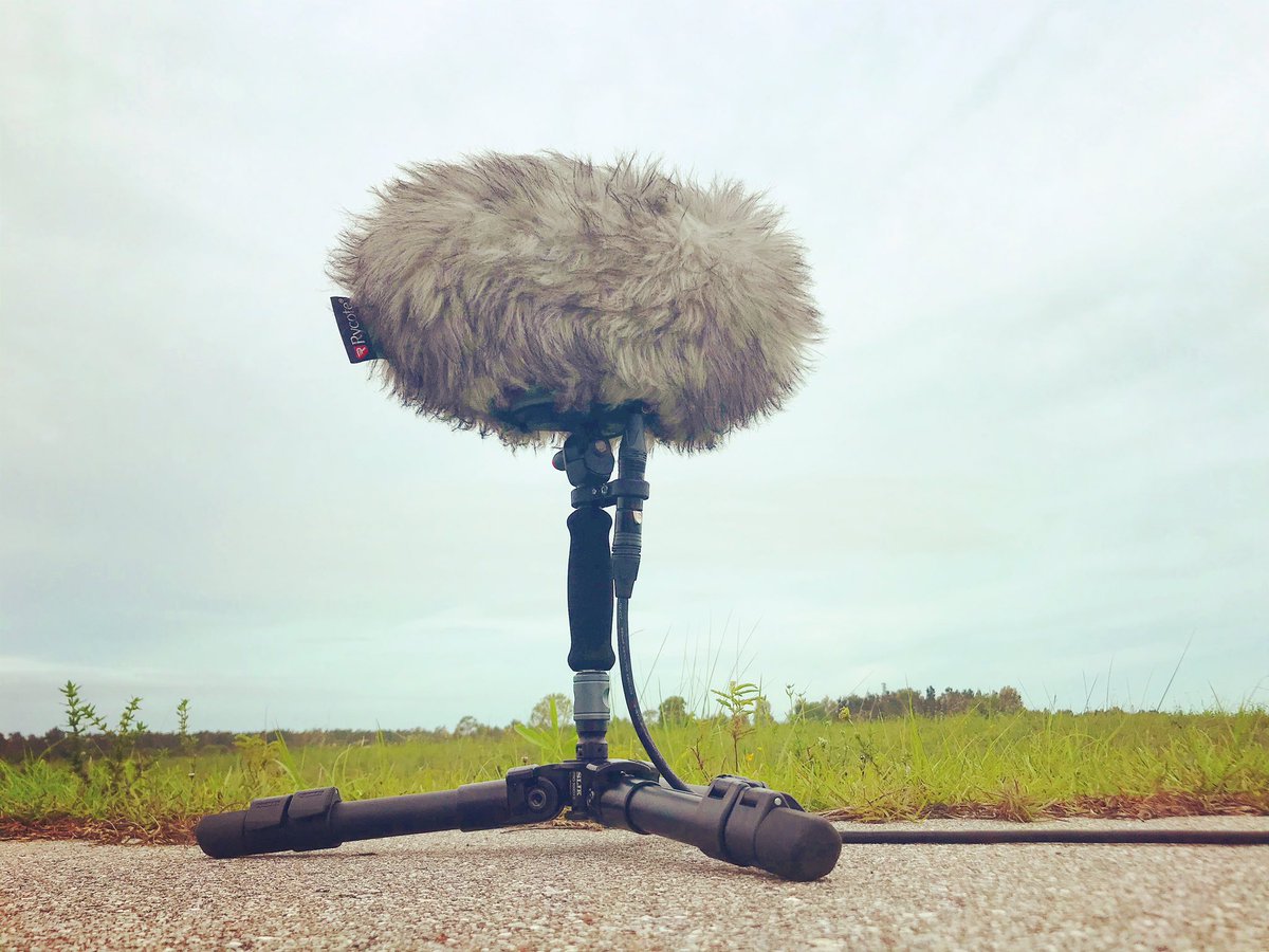 watsonwu's tweet photo. Windy today from yesterday’s Elsa storm
.
Had to put the Slik stand all the way down for the #RycoteCyclone
.
#soundeffects #rycote #sankencms50 #sounddesign #ambience #microphone #gameaudio #gamesound #audioforgames #filmsound #audiopost #traveler @SanDisk https://t.co/pxME1ElsJ2
