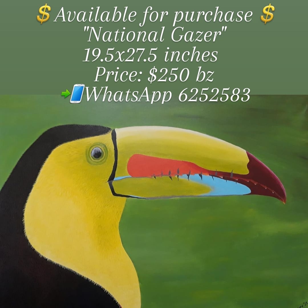 PaintingBelize's tweet photo. 💲Available for purchase💲
"National Gazer"
19.5x27.5 inches 
Price: $250 bz
📲WhatsApp 6252583 https://t.co/tgeb1yJtMM