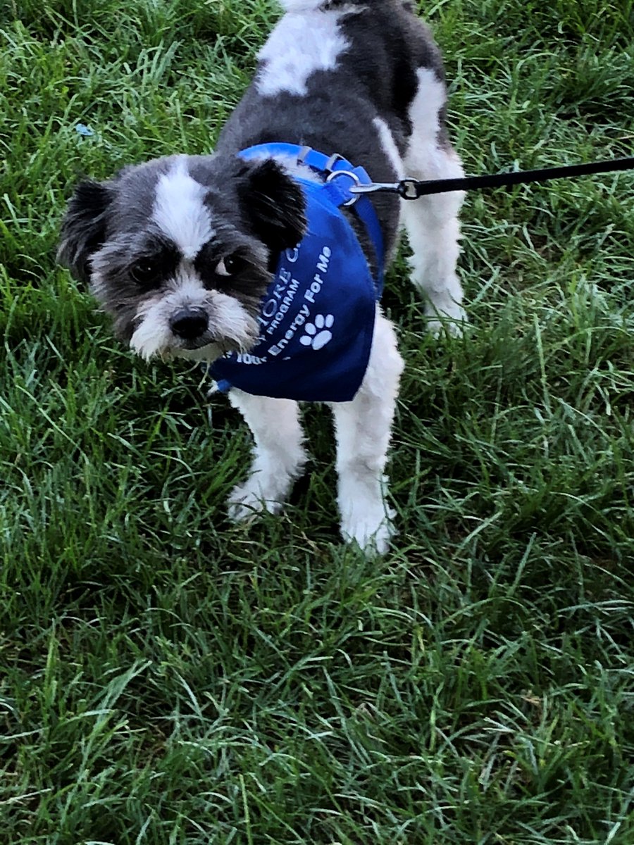 NorthShoreGas's tweet photo. We're proud to sponsor @LibertyvilleVOL's "Dog Days of Summer" event this coming weekend! Our team will be there handing out doggy bandanas and information about our energy efficiency programs. Stop by our booth and say hi! https://t.co/AqmZIfjFjb